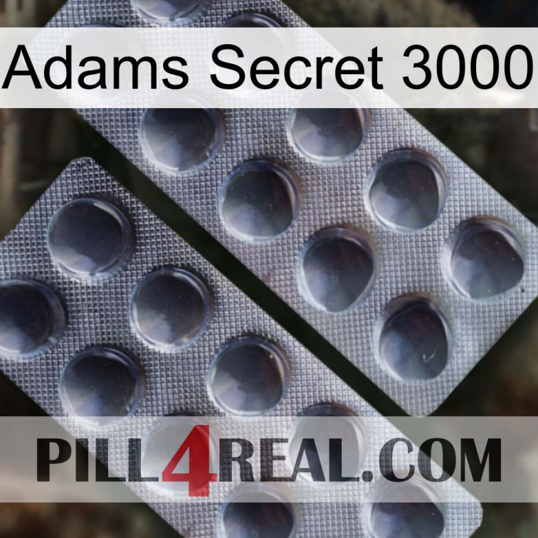 Adams Secret 3000 31